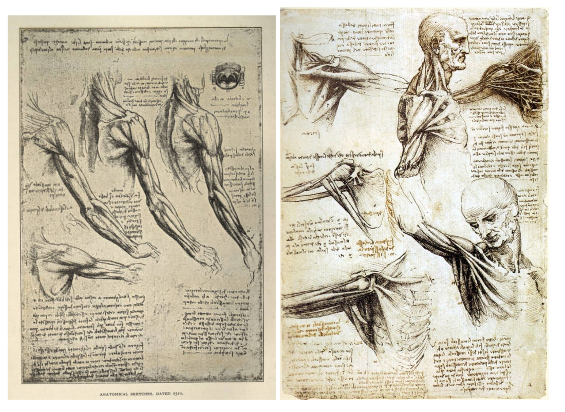 Useful Insights About The Stiff Shoulder Condition: What the Data Tells Us