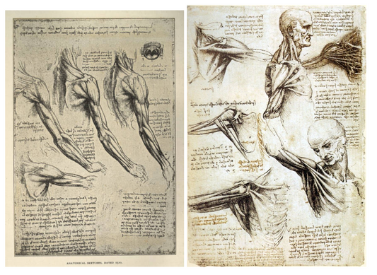Useful Insights About The Stiff Shoulder Condition: What the Data Tells Us